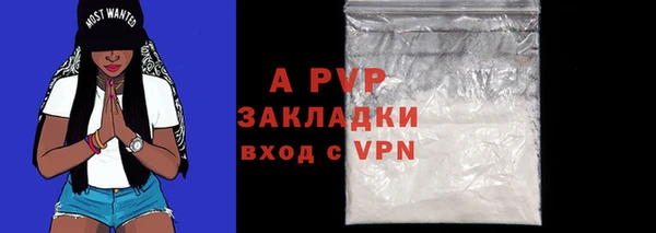 прущие грибы Абдулино