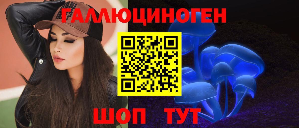 Псилоцибиновые грибы Cubensis Кисловодск