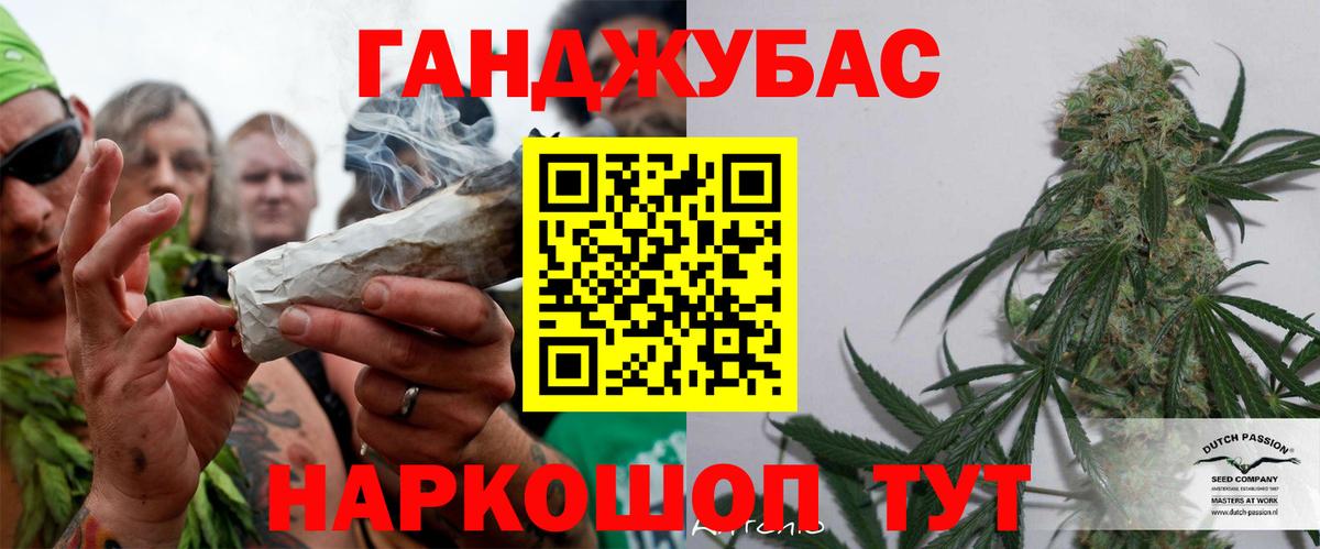 Каннабис сатива Кисловодск